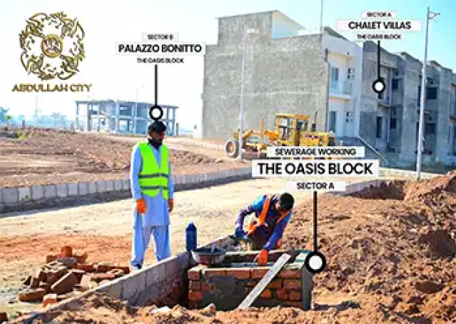 85733Artboard 7 (6).webp